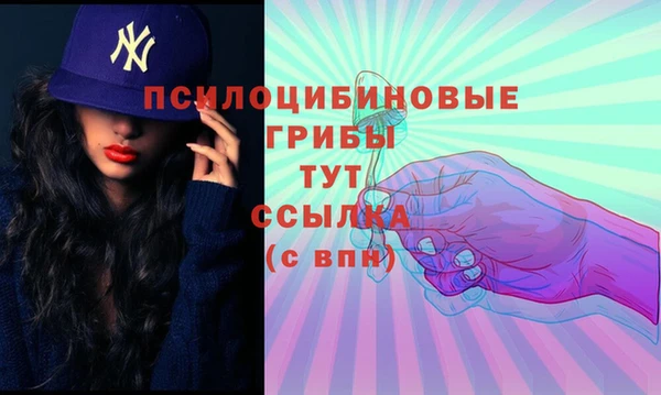 mdpv Баксан