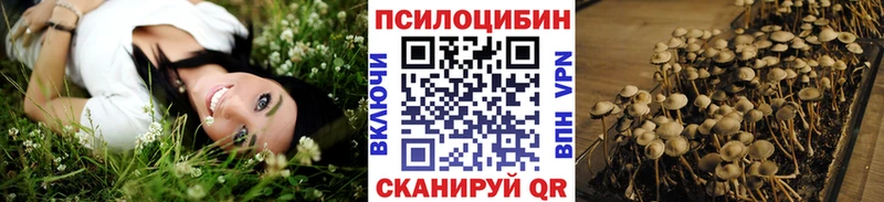 Галлюциногенные грибы мухоморы  Бор 